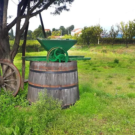 Al Castello Inn Sarego